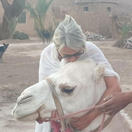 סקורה Gite Kasbah La Palmeraie מראה חיצוני תמונה