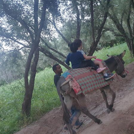 סקורה Gite Kasbah La Palmeraie מראה חיצוני תמונה