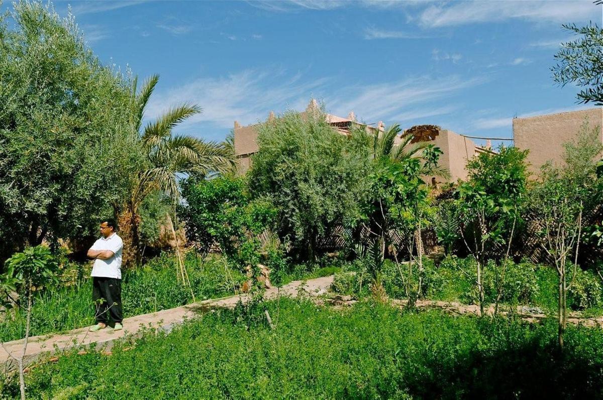 סקורה Gite Kasbah La Palmeraie מראה חיצוני תמונה