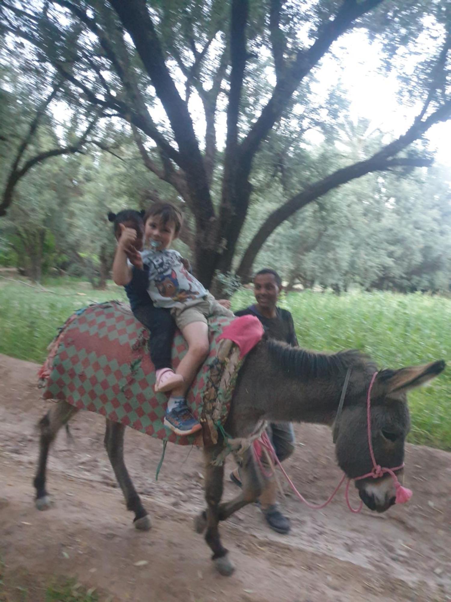 סקורה Gite Kasbah La Palmeraie מראה חיצוני תמונה