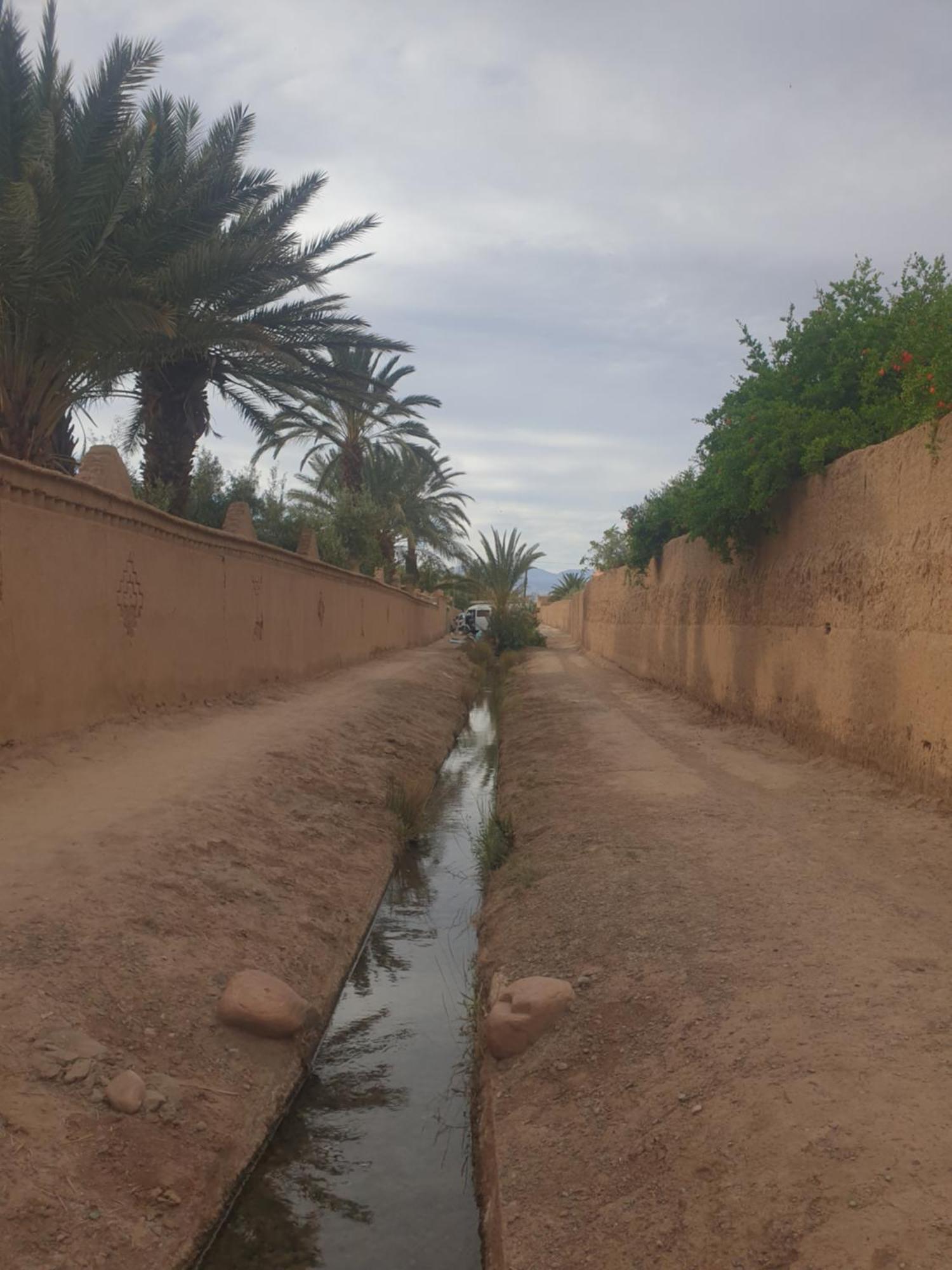 סקורה Gite Kasbah La Palmeraie מראה חיצוני תמונה