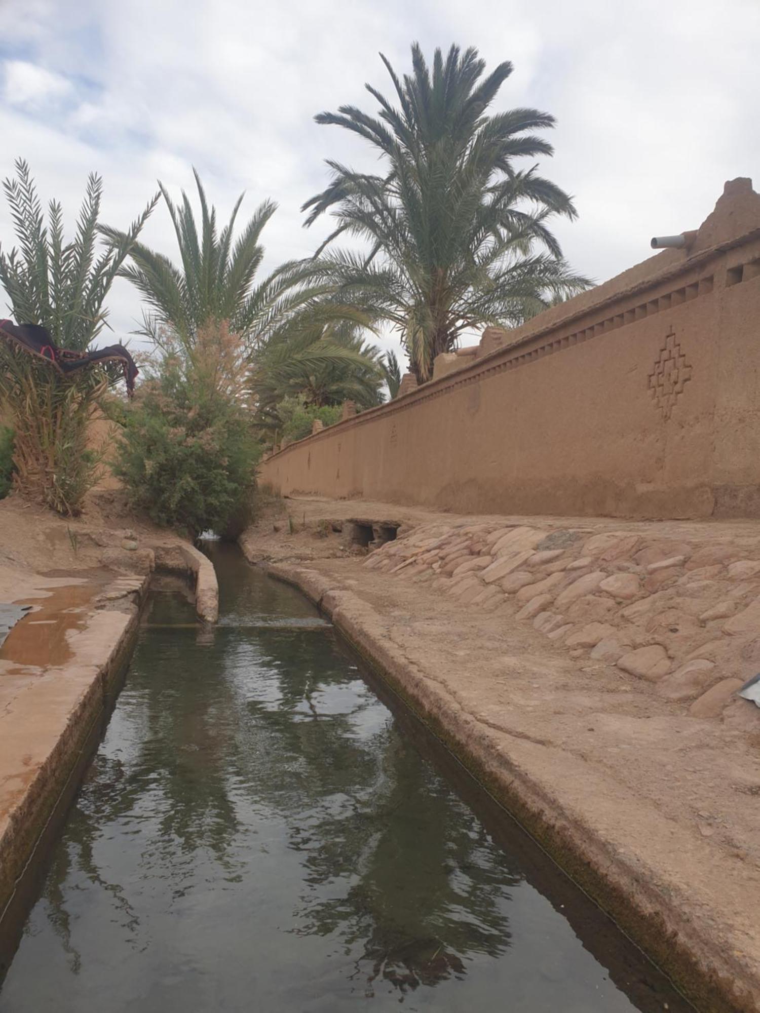 סקורה Gite Kasbah La Palmeraie מראה חיצוני תמונה