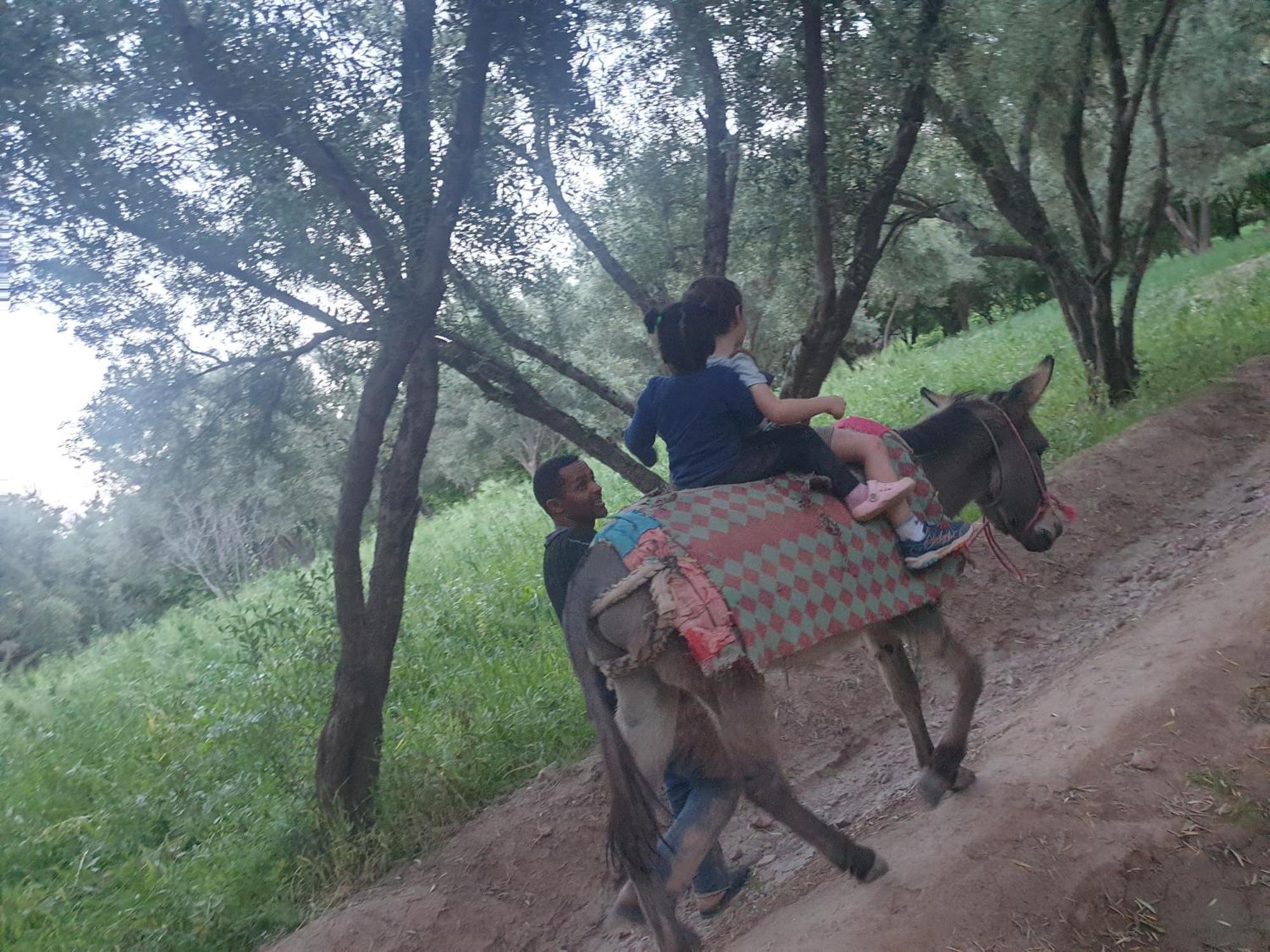 סקורה Gite Kasbah La Palmeraie מראה חיצוני תמונה