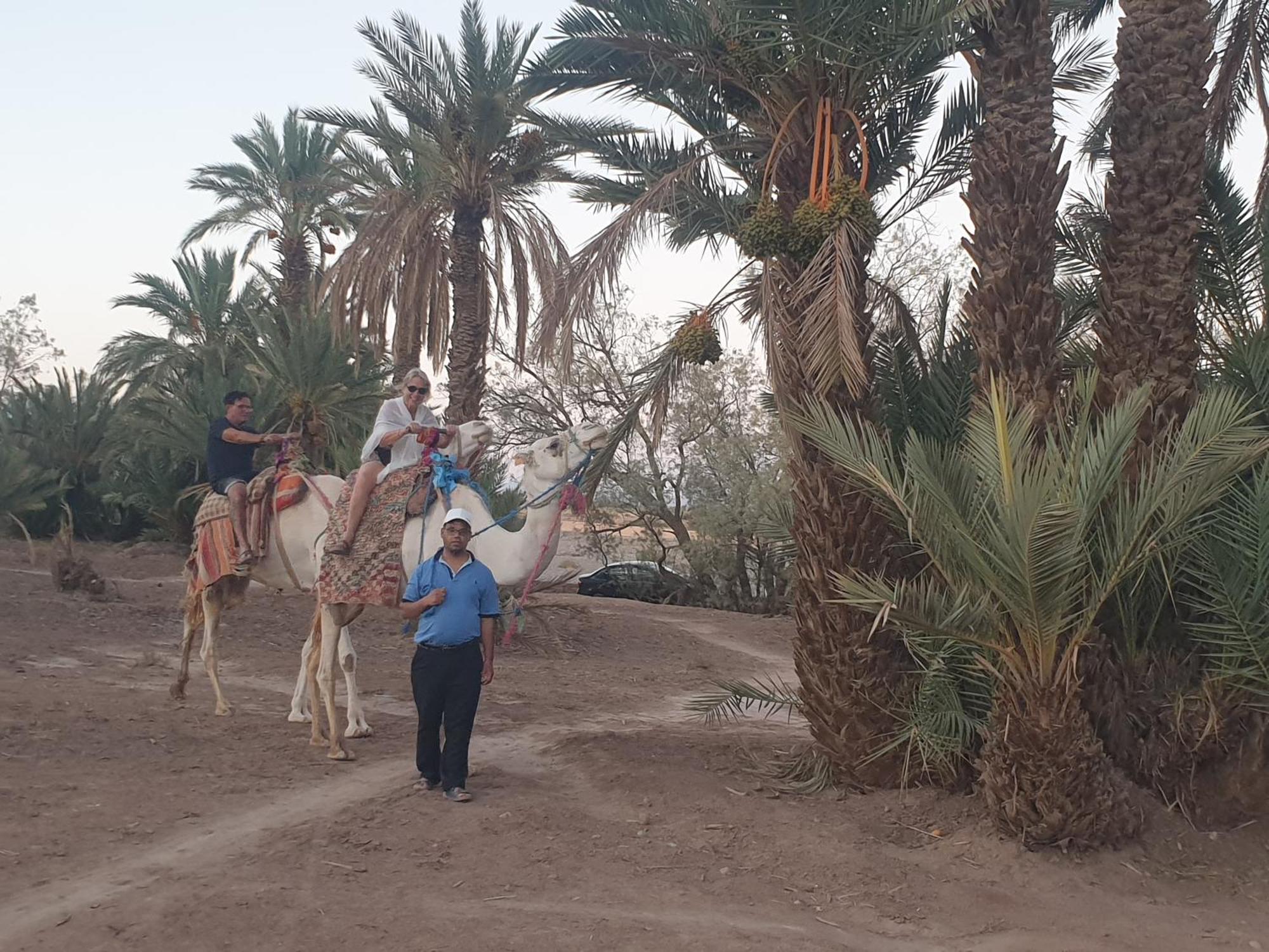 סקורה Gite Kasbah La Palmeraie מראה חיצוני תמונה