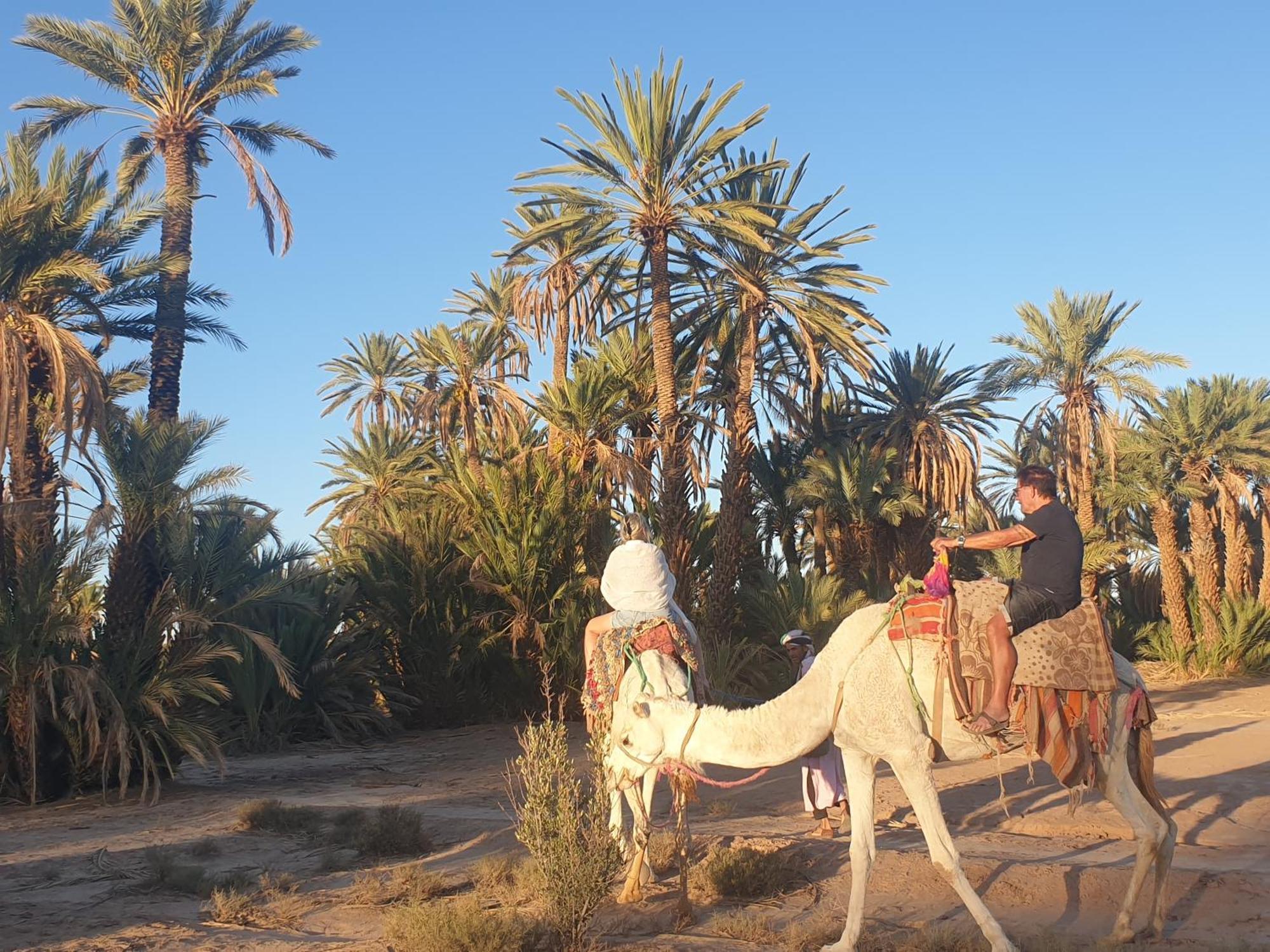 סקורה Gite Kasbah La Palmeraie מראה חיצוני תמונה