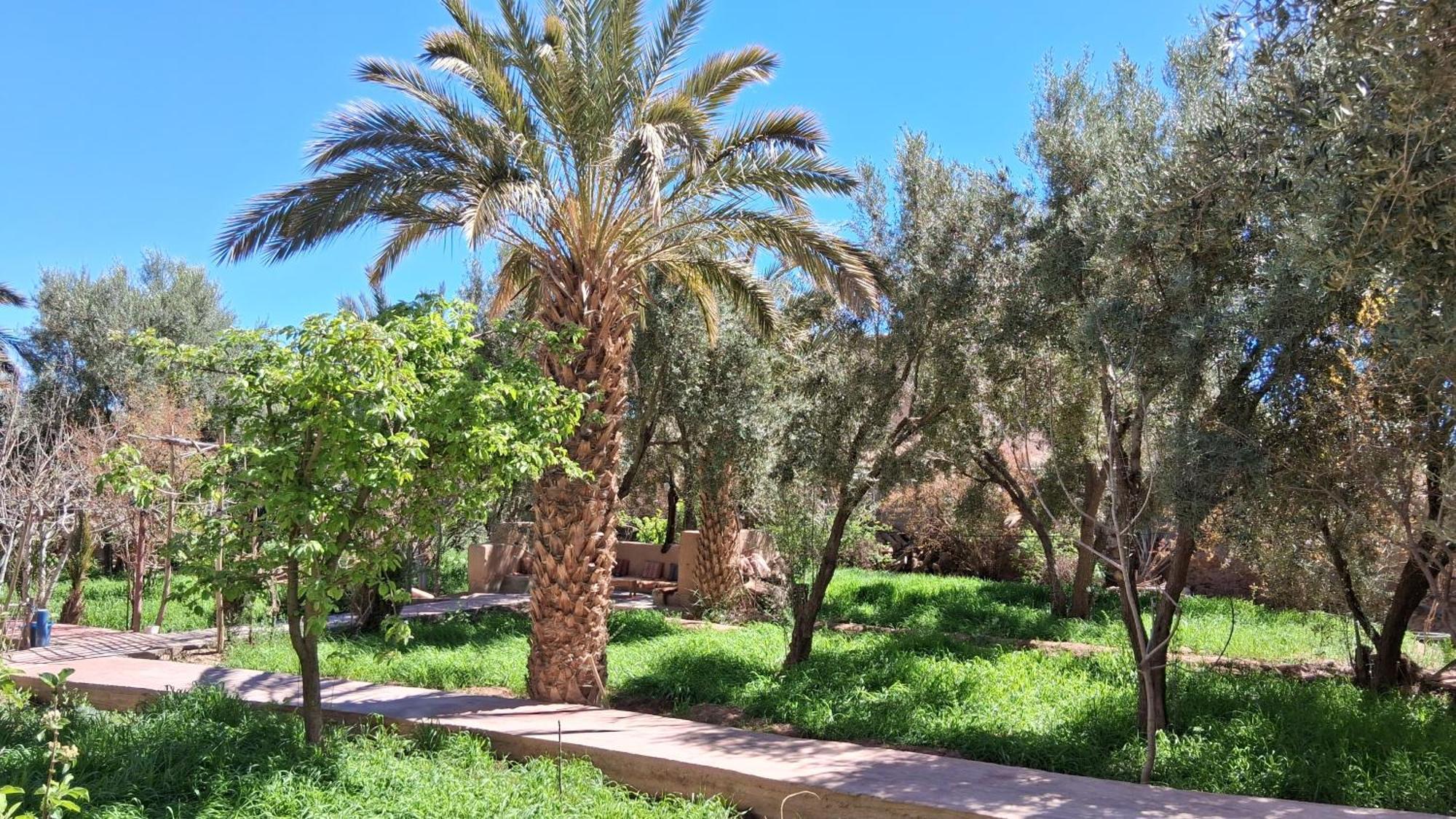 סקורה Gite Kasbah La Palmeraie מראה חיצוני תמונה