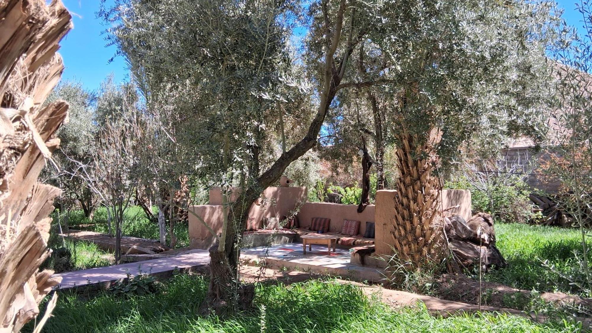 סקורה Gite Kasbah La Palmeraie מראה חיצוני תמונה