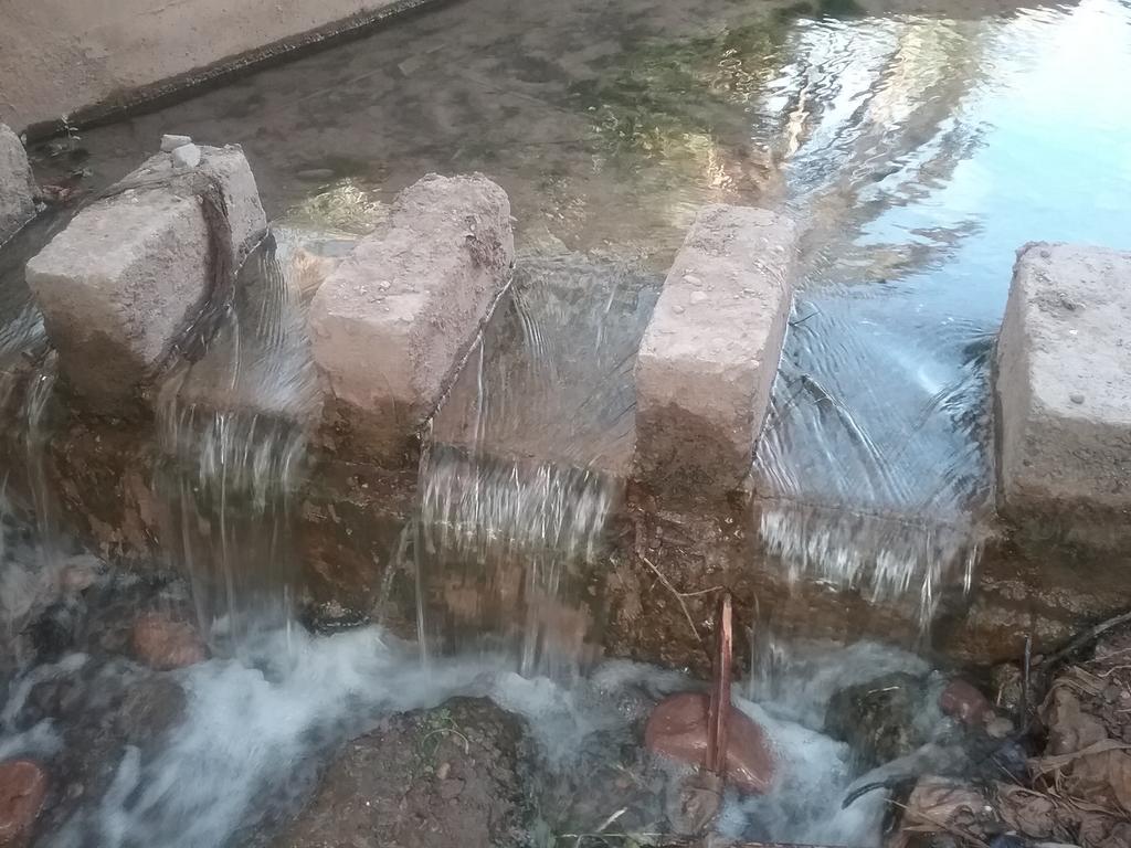סקורה Gite Kasbah La Palmeraie מראה חיצוני תמונה