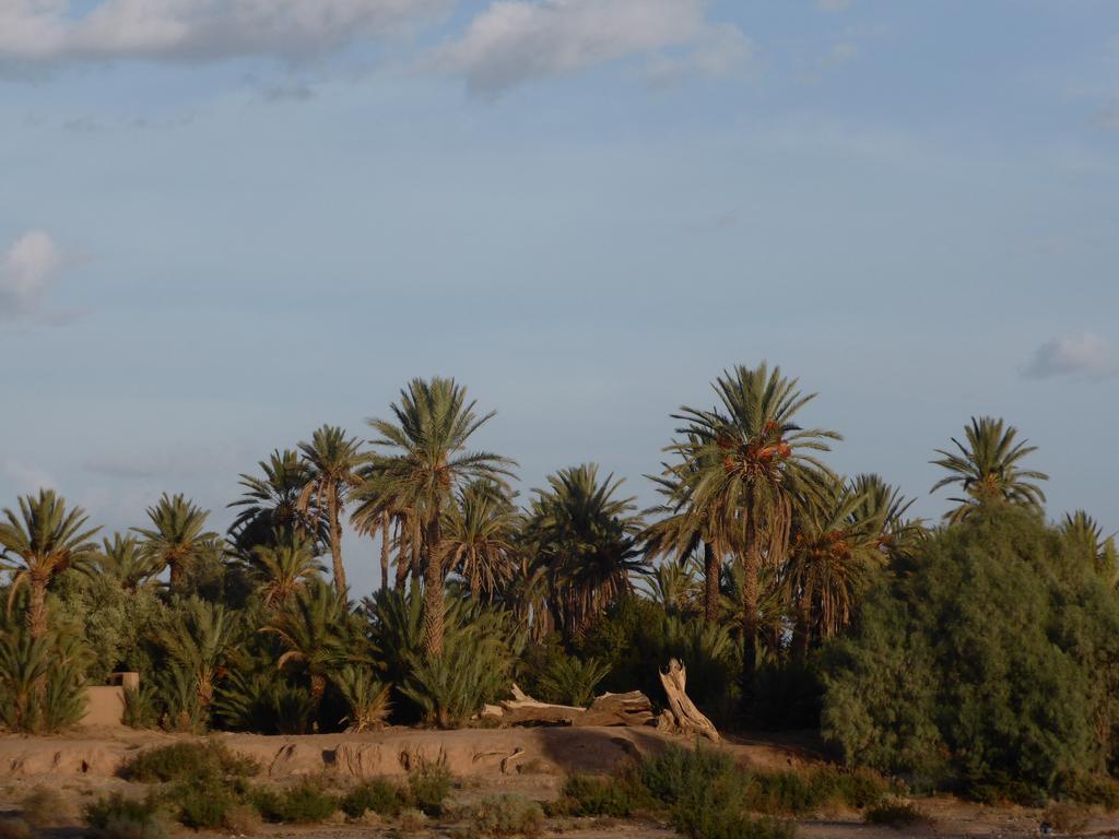 סקורה Gite Kasbah La Palmeraie מראה חיצוני תמונה