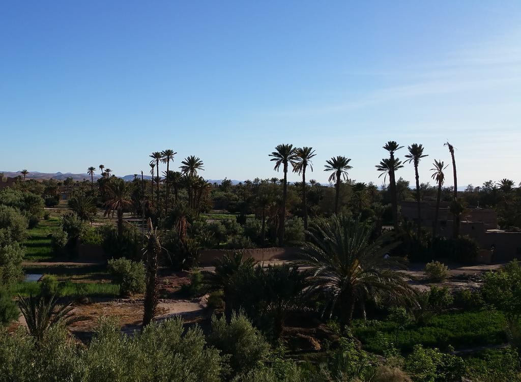 סקורה Gite Kasbah La Palmeraie מראה חיצוני תמונה