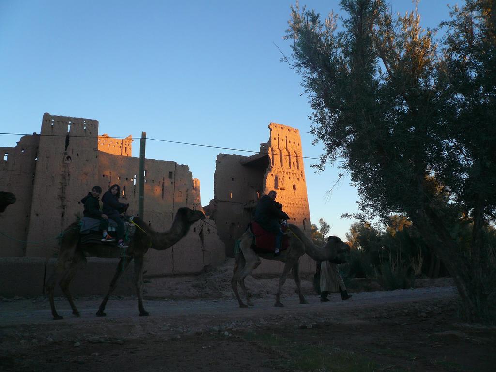 סקורה Gite Kasbah La Palmeraie מראה חיצוני תמונה