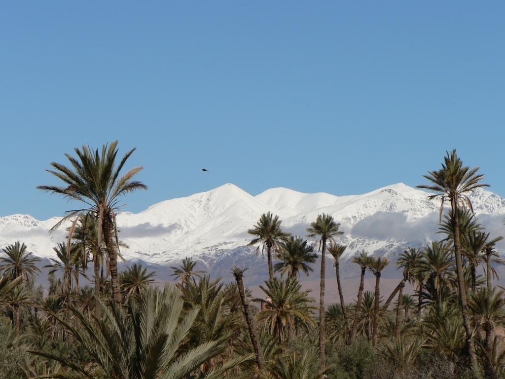 סקורה Gite Kasbah La Palmeraie מראה חיצוני תמונה