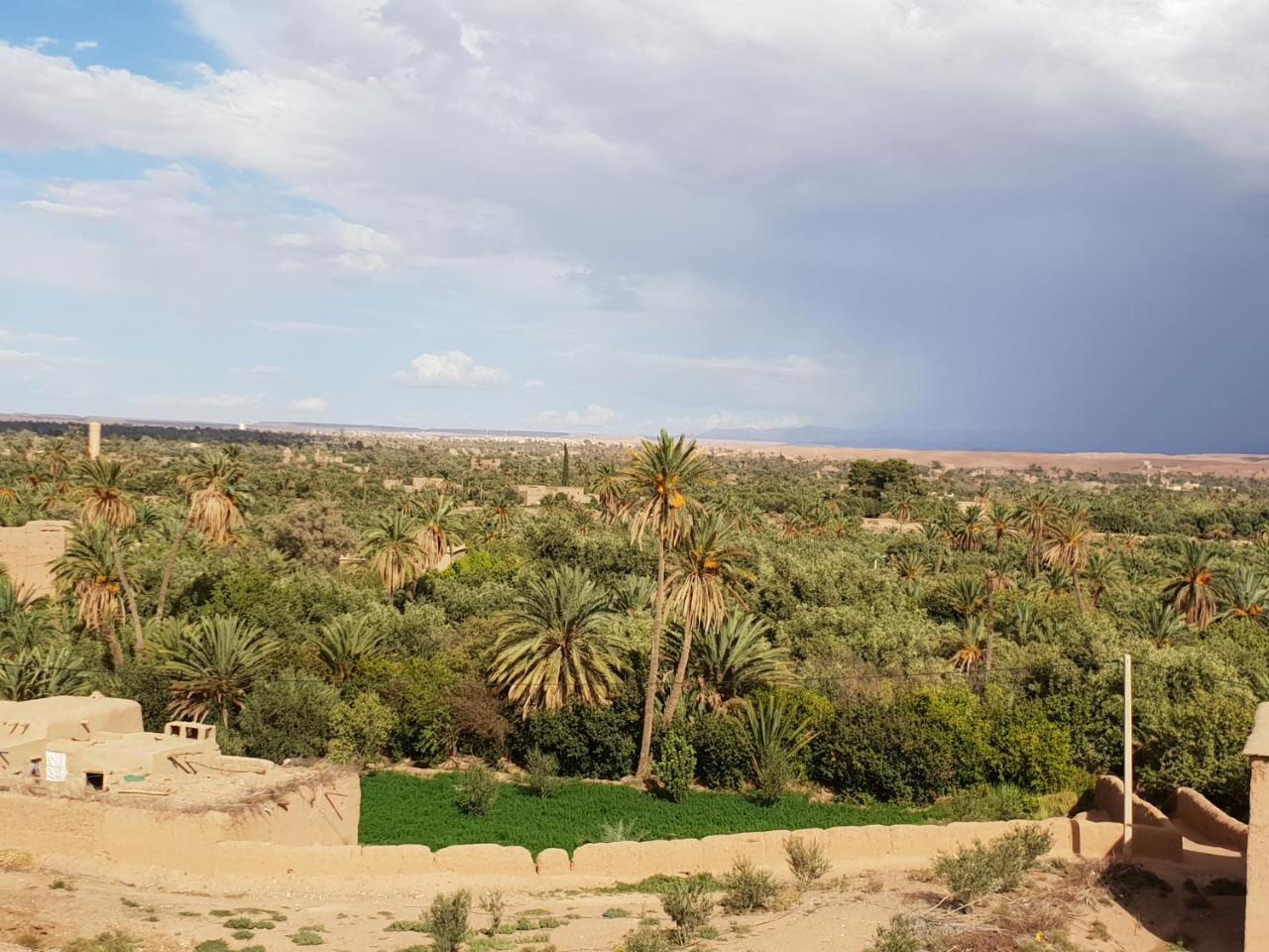 סקורה Gite Kasbah La Palmeraie מראה חיצוני תמונה